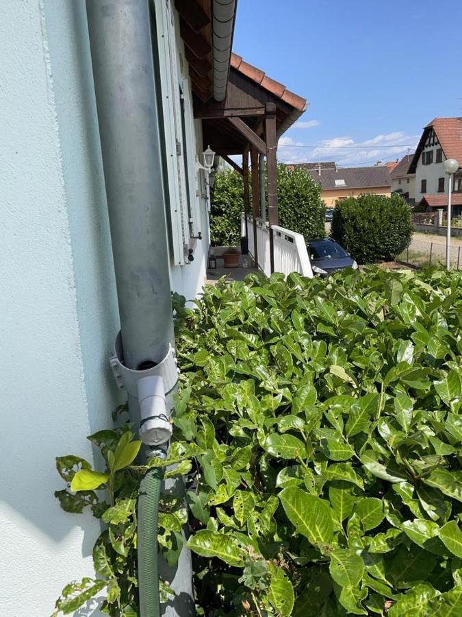 Gite Au Nid De Cigognes Villa Leutenheim Dış mekan fotoğraf